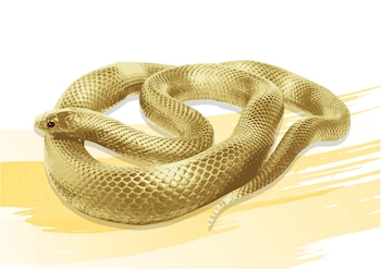 金運を上げる方法 たった3つの即効術で金運体質になる くじ活